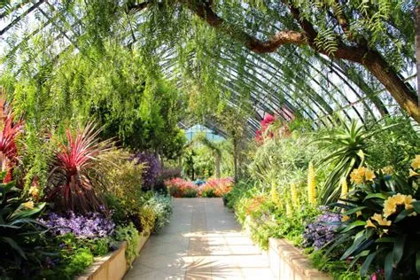 ¡Sumérgete en la magia tropical del Jardín Botánico de Yauapery! Un oasis verde en medio de la selva amazónica brasileña.