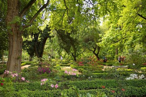 El Jardín Botánico de Inverness ¡Un Oasis Verde en la Ciudad Esmeralda!