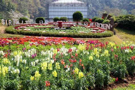 ¿Te atreves a explorar la majestuosidad ancestral del Jardín Botánico de Dez?