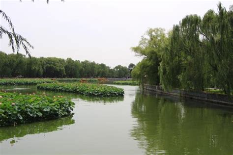 ¿Has Escuchado de la Increíble Belleza del Lago de Yuantan en Yunfu?