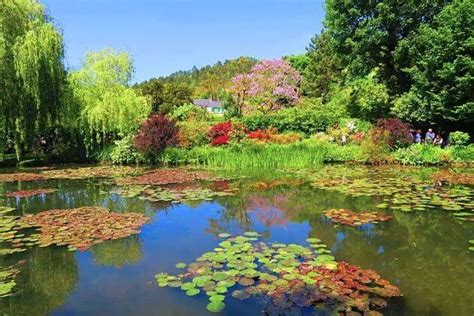  ¡El Jardín Botánico de Kōchi: Un paraíso tropical en la costa del Pacífico!